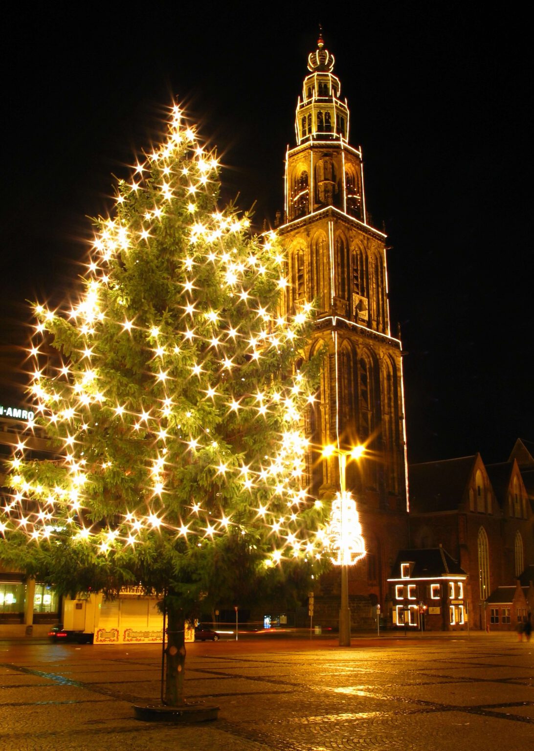 Grote kerstboom kopen? Echte bomen (8 18 meter) Stedelijk Groen bv